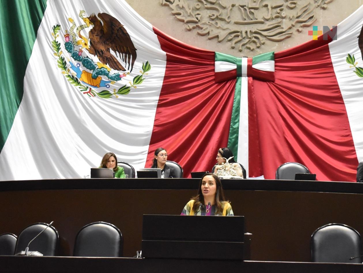 Cámara de Diputados aprobó reformas para promover el emprendimiento en mujeres víctimas de violencia