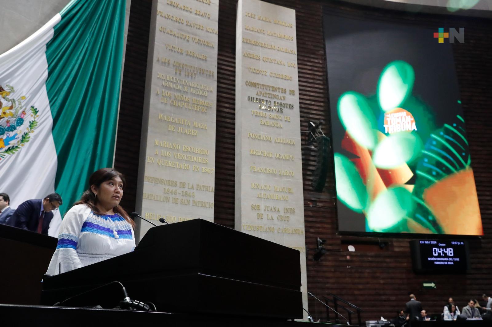 Llaman a asumir responsabilidad del resguardo de tradiciones y costumbres de pueblos indígenas