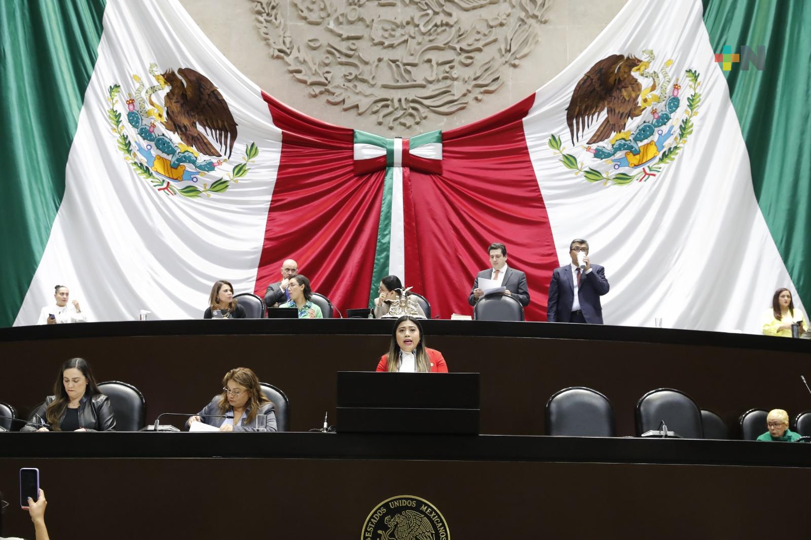 Cámara de Diputados aprobó reformas en materia de derechos lingüísticos