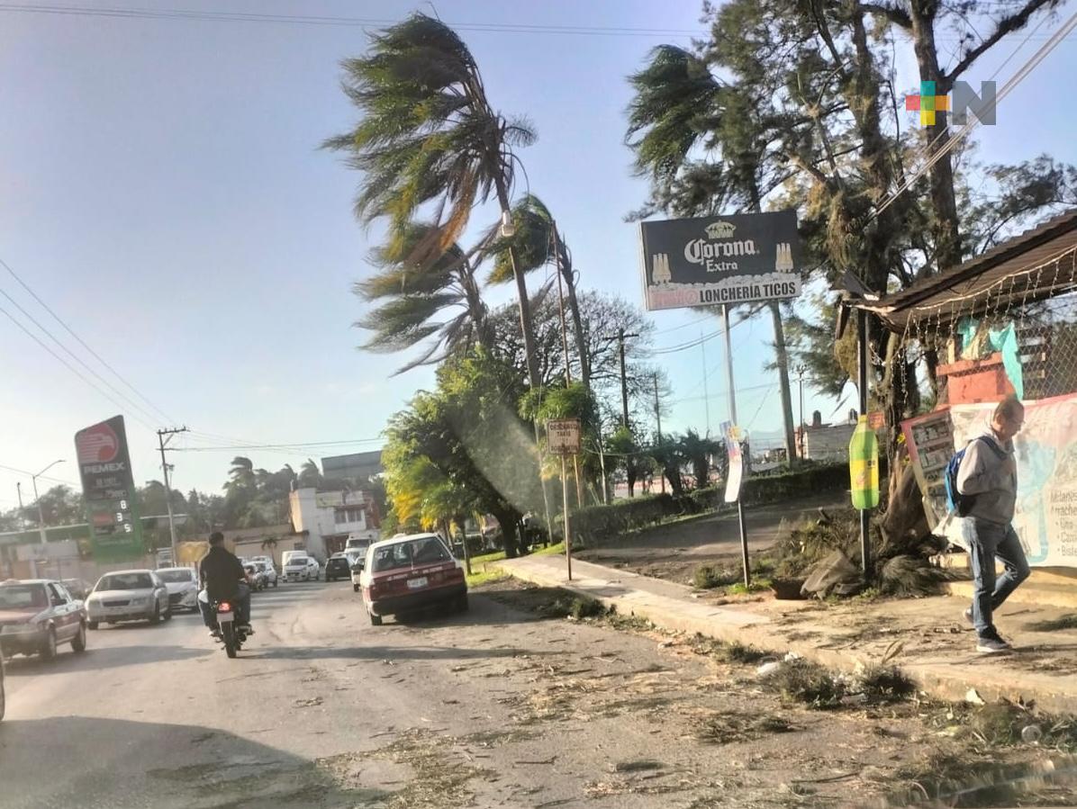Surada persiste en el estado con rachas estimadas de 70 a 85 km/h