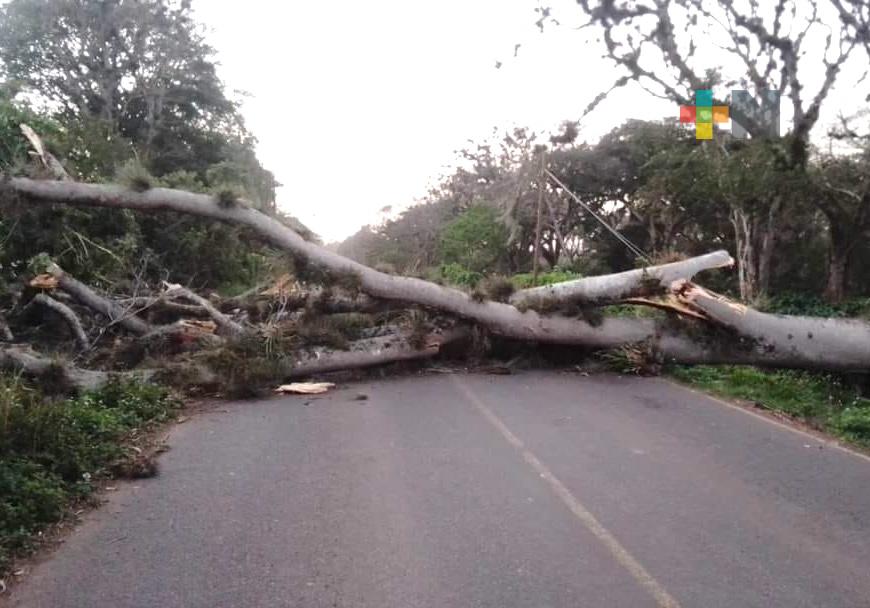 Surada impacta y causa diversos daños en zona centro del estado