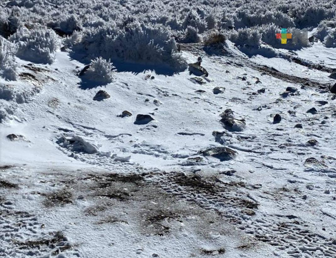 Cuarta nevada en el Cofre de Perote, informa Conagua