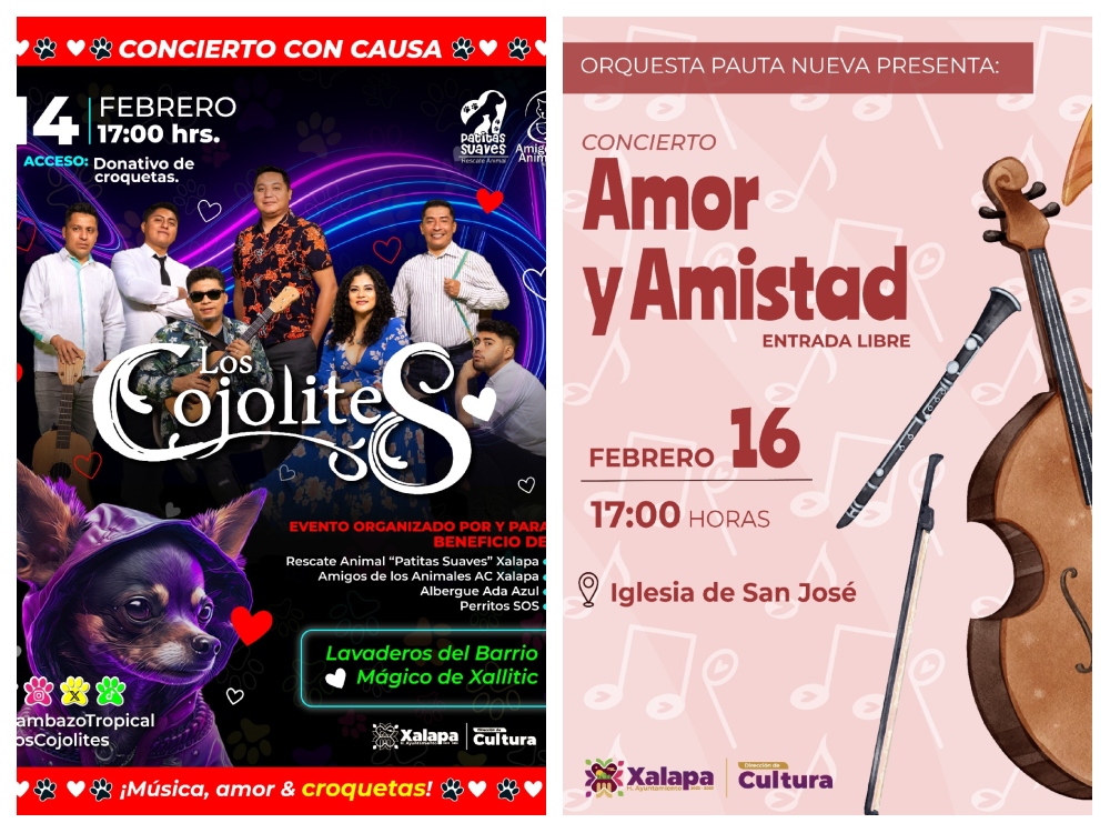 Durante febrero y todo el año habrá variadas actividades artísticas y culturales en Xalapa