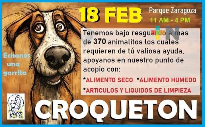 Albergue La Roca realizará croquetón en parque Zaragoza el próximo domingo