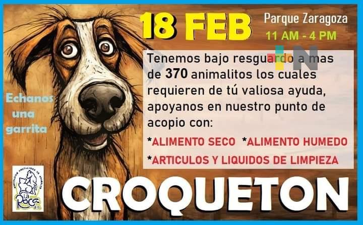 Albergue La Roca realizará croquetón en parque Zaragoza el próximo domingo