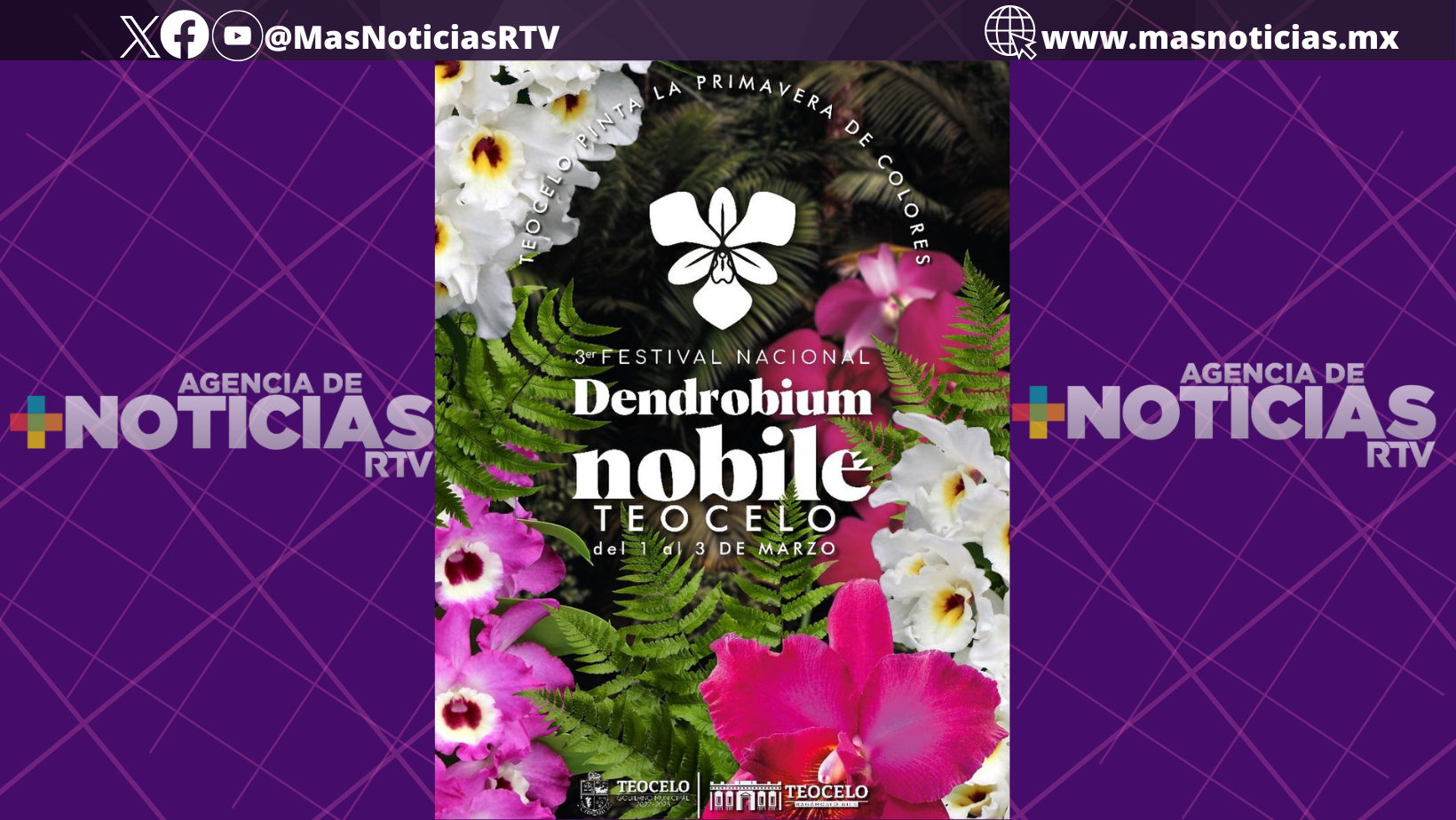 En Teocelo se llevará a cabo tercer «Festival nacional de la orquídea»