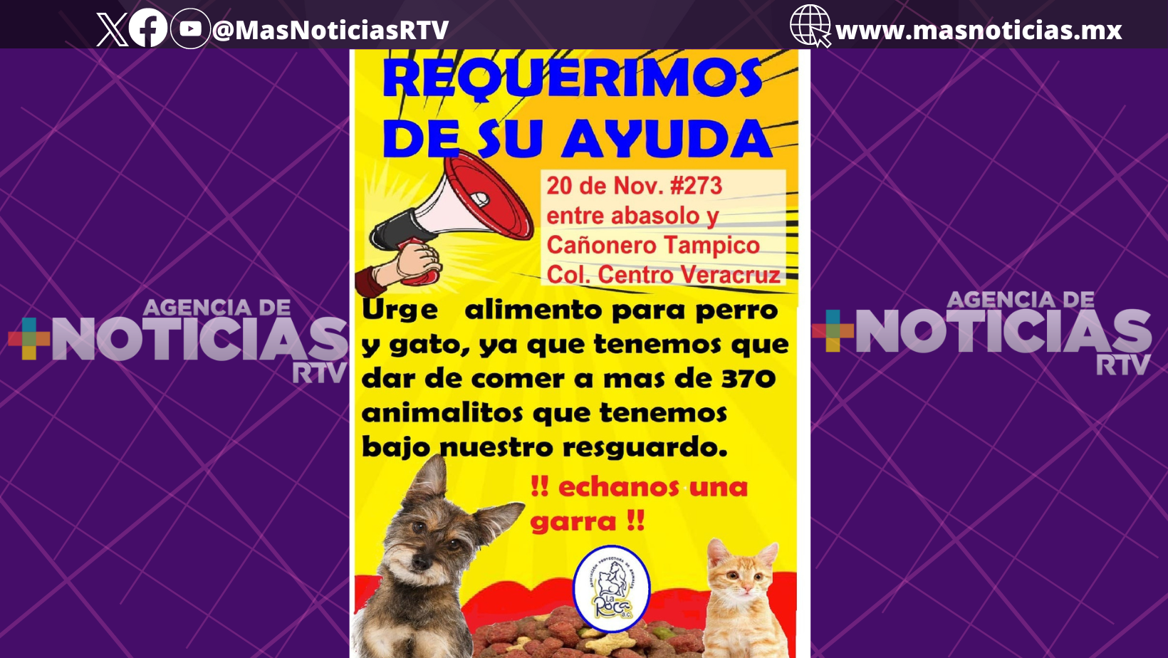 Albergue «La Roca» solicita donaciones de alimento para perros y gatos