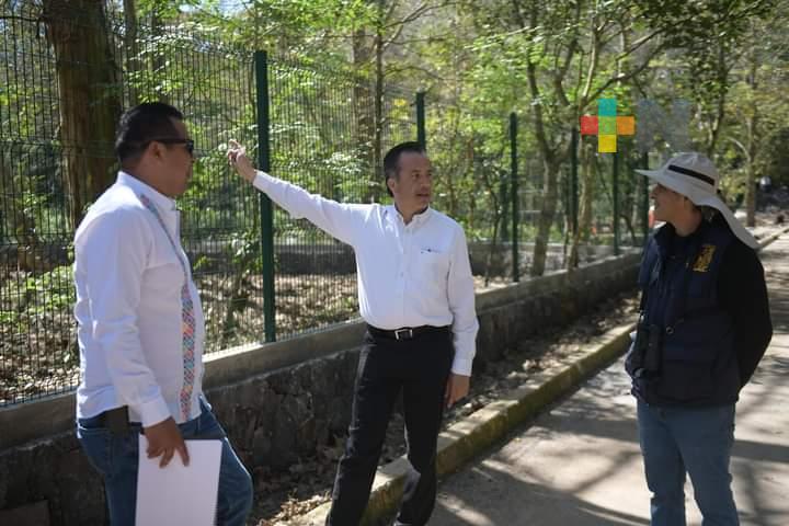 Gobernador Cuitláhuac García supervisa proyecto en parque Natura