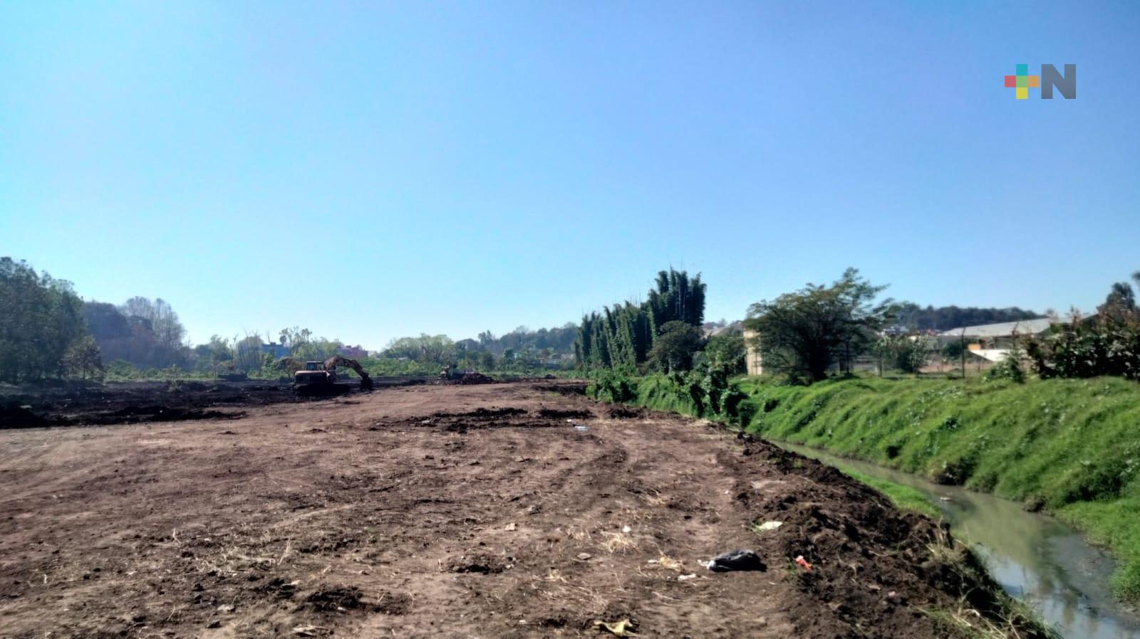 Avanzan trabajos para rescatar humedal aledaño al santuario de Las Garzas en Xalapa