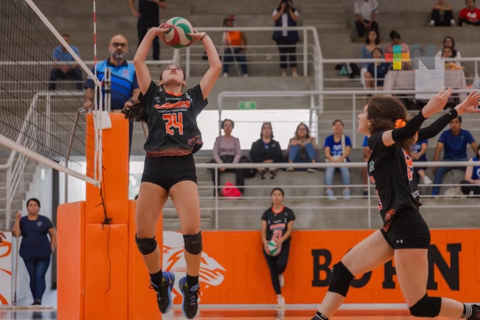 Leonas y Leones de Anáhuac Xalapa regresan a la duela