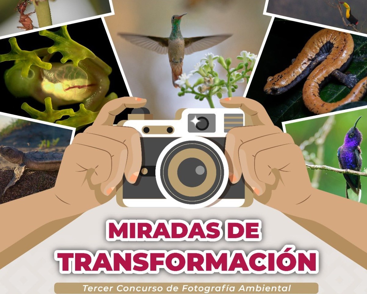Invita Sedema a participar en concurso de fotografía ambiental