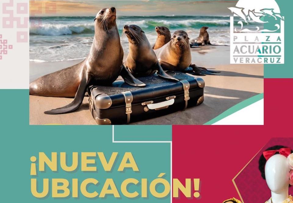 Tienda «Veracruz Me Llena de Orgullo» abrirá sus puertas en Plaza Acuario: Carlos Juárez