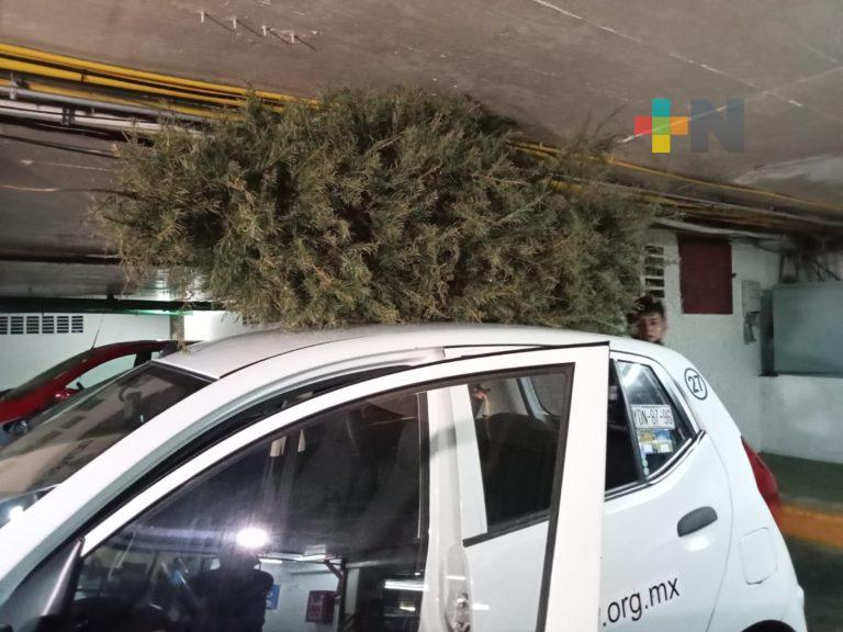 Hasta el 23 de febrero operará el programa «Recicla tu Navidad»: Sedema