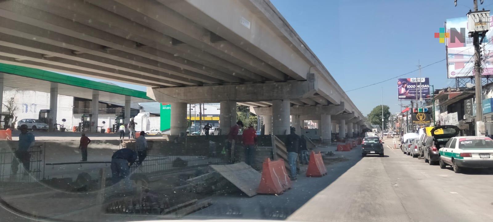 Avance paulatino en paso elevado de Xalapa con cambios para preservar arbolado