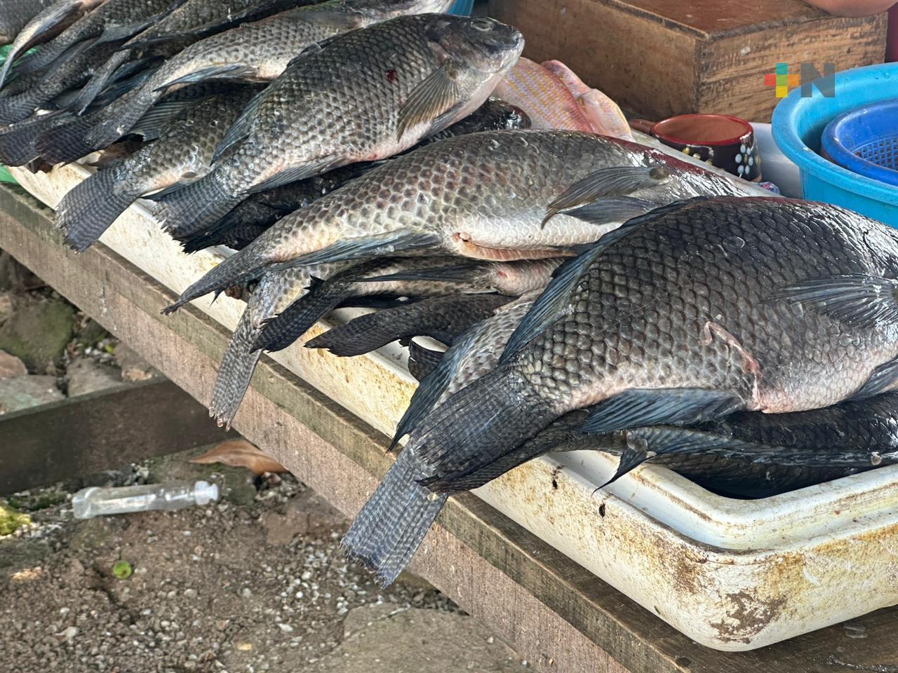 Arranca operativo Cuaresma para garantizar calidad de productos del mar