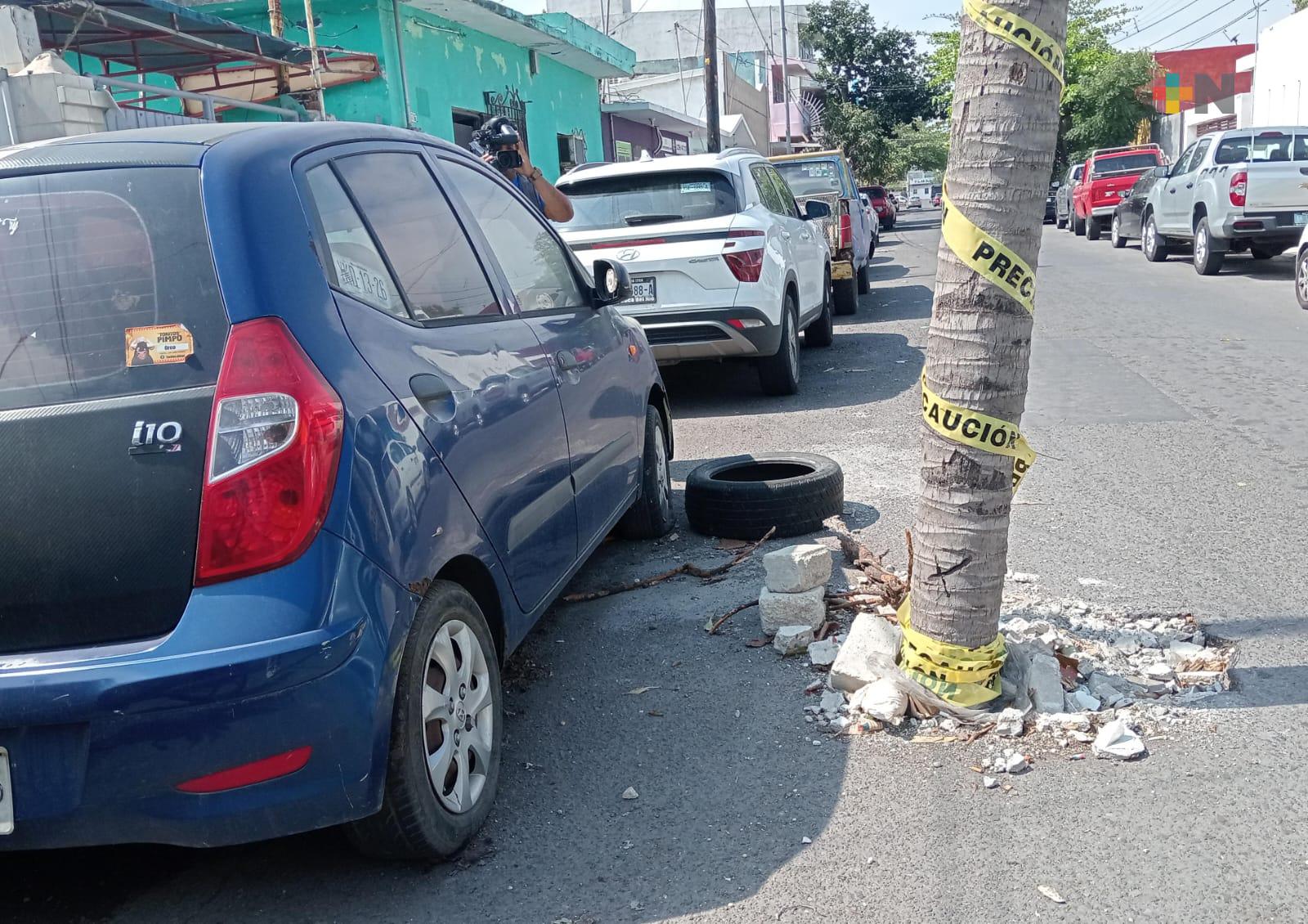 Vecinos colocan tronco de palmera para evitar accidentes por socavón