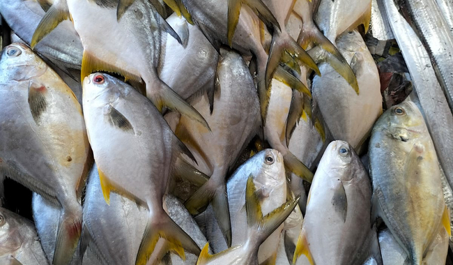 En México, se garantiza abasto de pescados y mariscos durante la Cuaresma