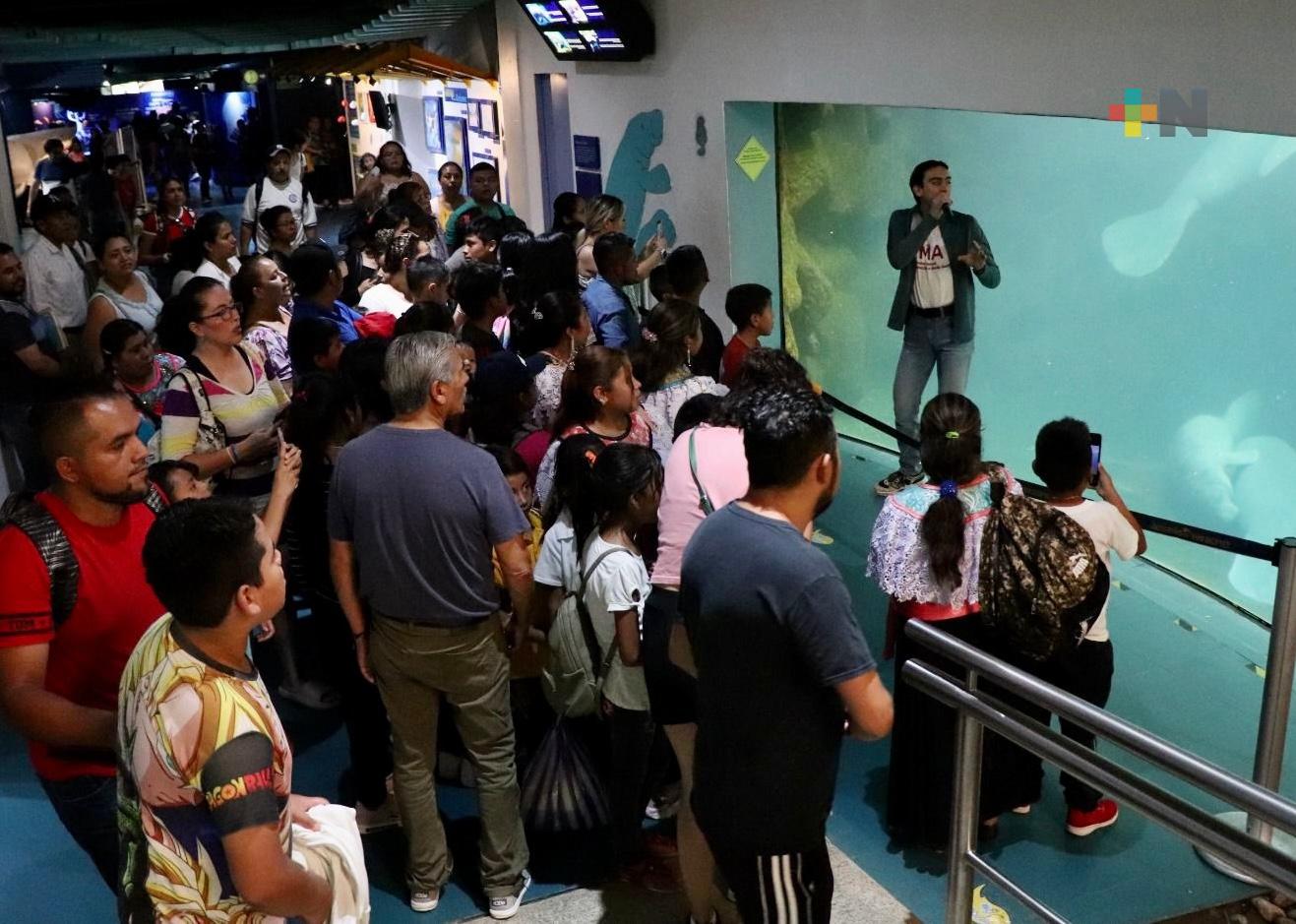 Aquarium de Veracruz invita a registrarse para acceder al «martes gratuito de cada mes»
