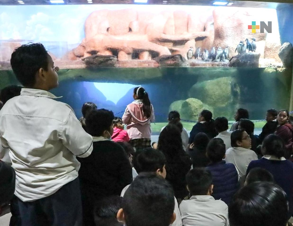 Un éxito, el segundo martes gratis del año en Aquarium de Veracruz