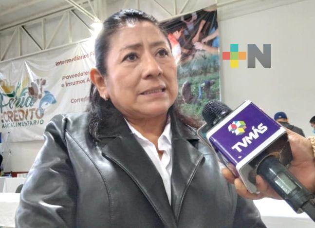 Con ferias de financiamiento, Gobierno de Veracruz apoyará la actividad agrícola