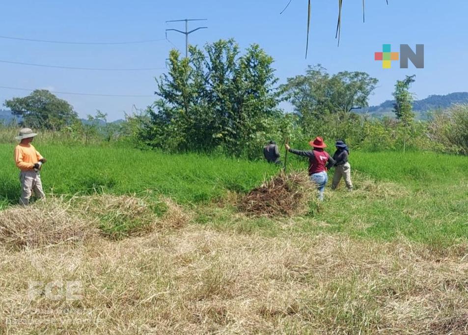 FGE realiza acciones de búsqueda en la zona norte del estado