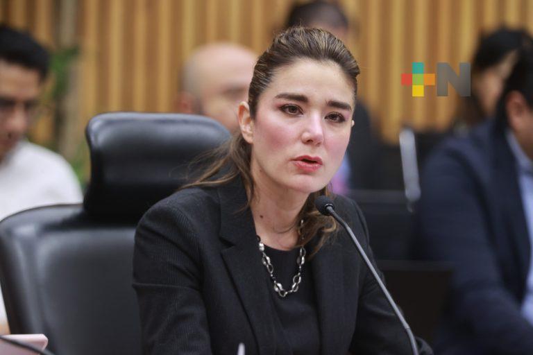 Procesos electorales locales 2023-2024 avanzan en tiempo y forma