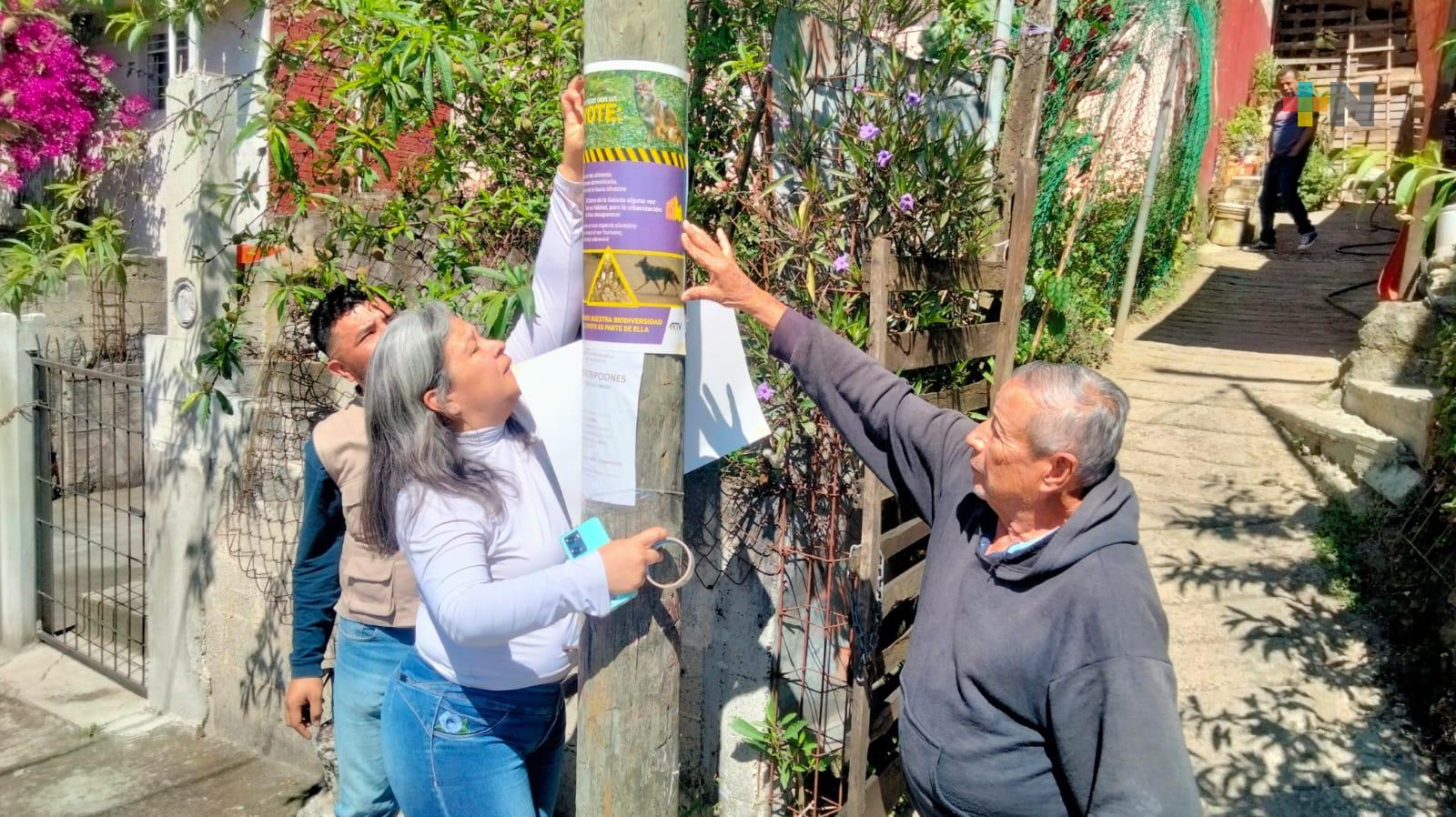 Continúa RTV concientizando sobre el respeto y cuidado del coyote que habita en Cerro de la Galaxia