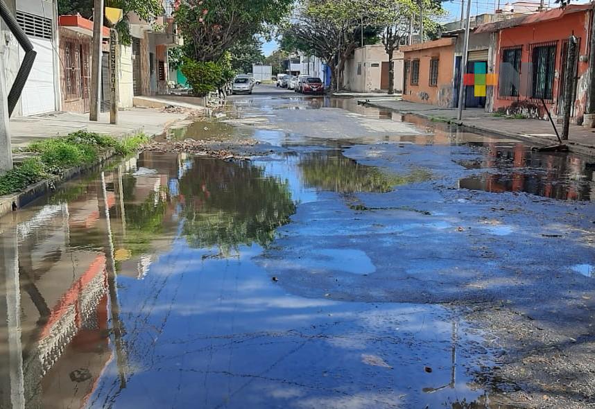 Megafuga deja sin agua a colonia Ortiz Rubio; Grupo MAS trabaja en repararla