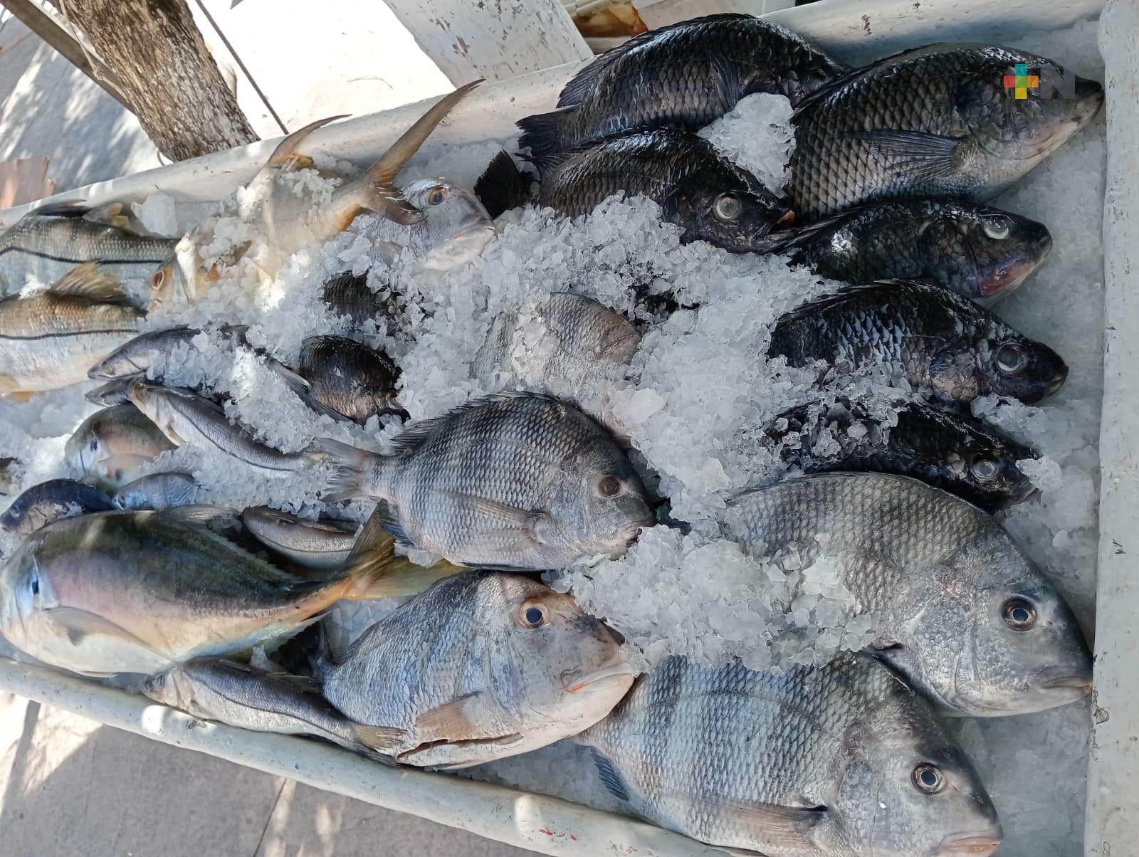 Se mantiene la venta de pescado en últimas semanas en Boca del Río