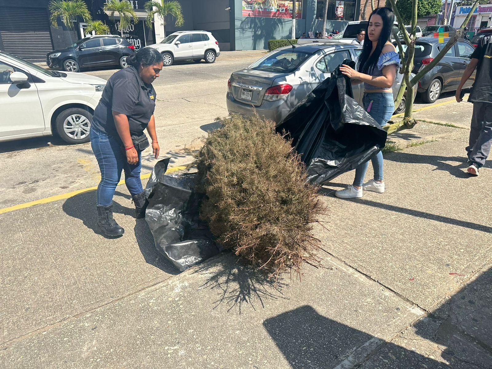 Últimas semanas del programa «Recicla tu Navidad»