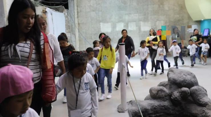 Preescolares de Altotonga visitan Aquarium de Veracruz
