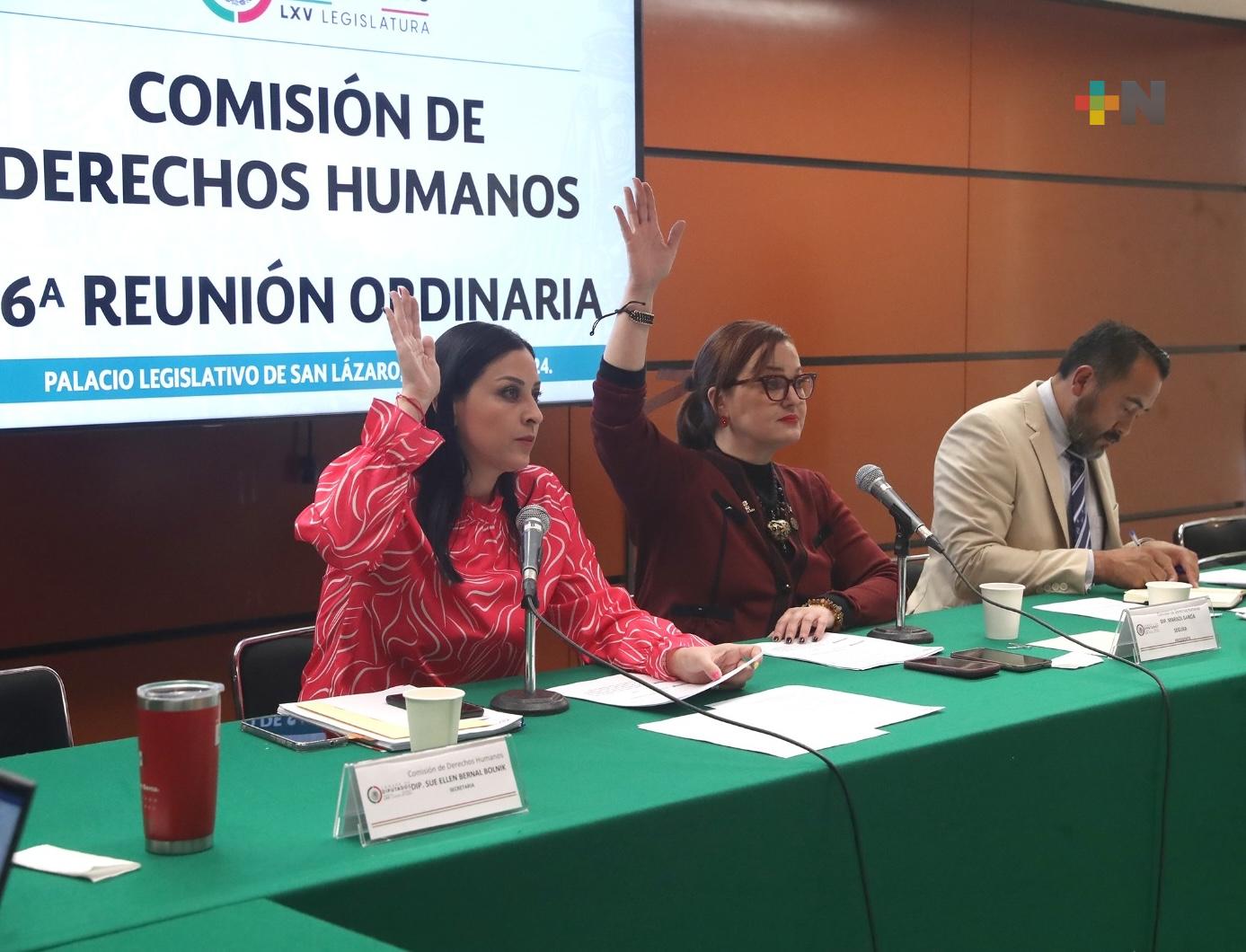 Comisión de Derechos Humanos aprobó reformas sobre personas con discapacidad y paridad de género