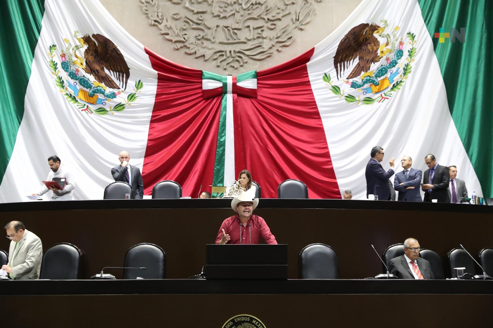 Aprueban que organizaciones ganaderas brinden asesoría para mejorar producción y acceder a financiamiento