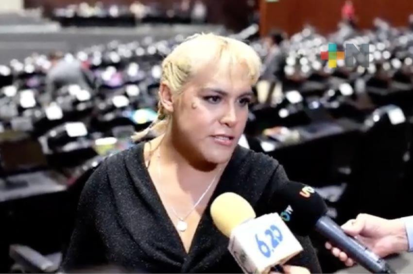 Necesario, avalar minuta del Senado que prohíbe las terapias de conversión: María Clemente