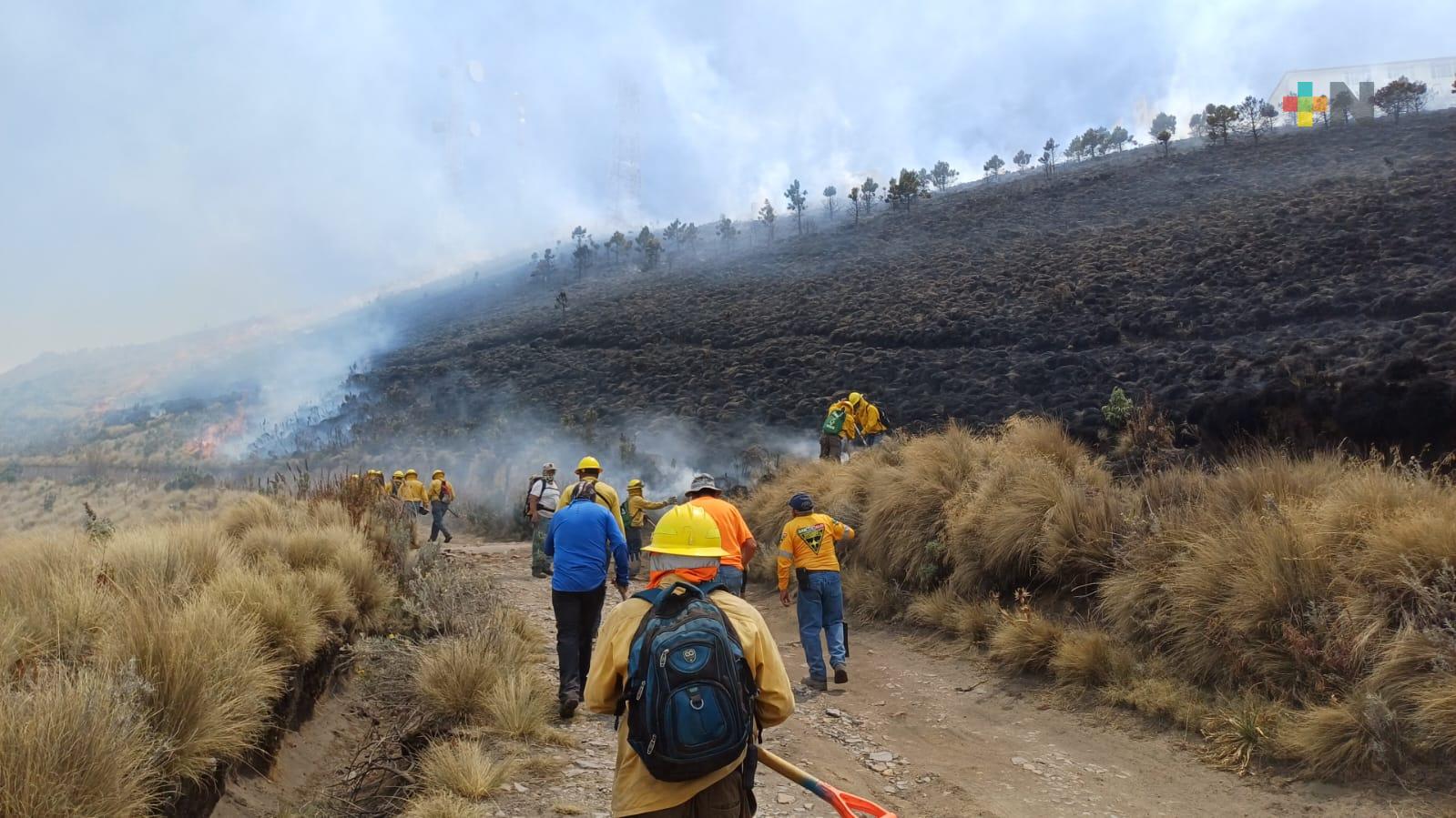 Se atendieron 19 incendios, informa la Comisión Nacional Forestal