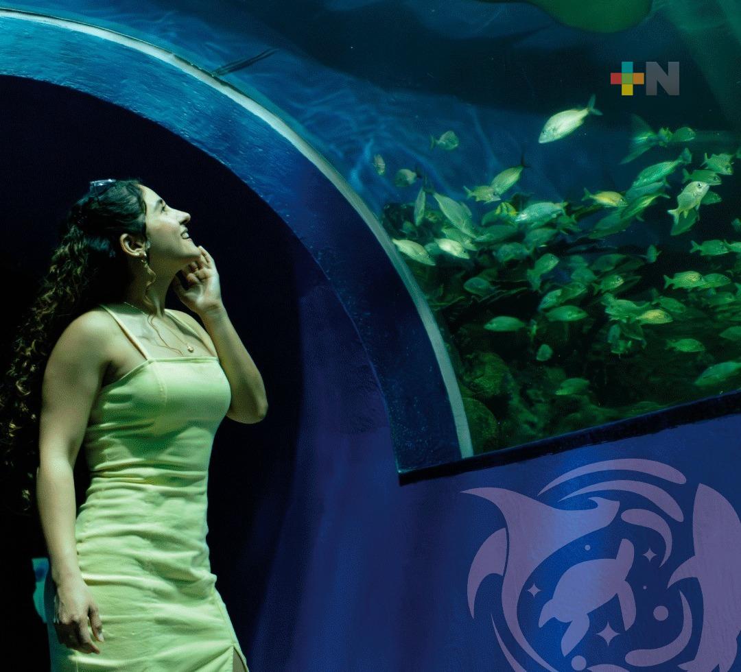 Aquarium del puerto de Veracruz hará modificaciones en su horario de acceso