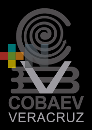 Espacios disponibles en Colegio de Bachilleres de Veracruz cerca de agotarse