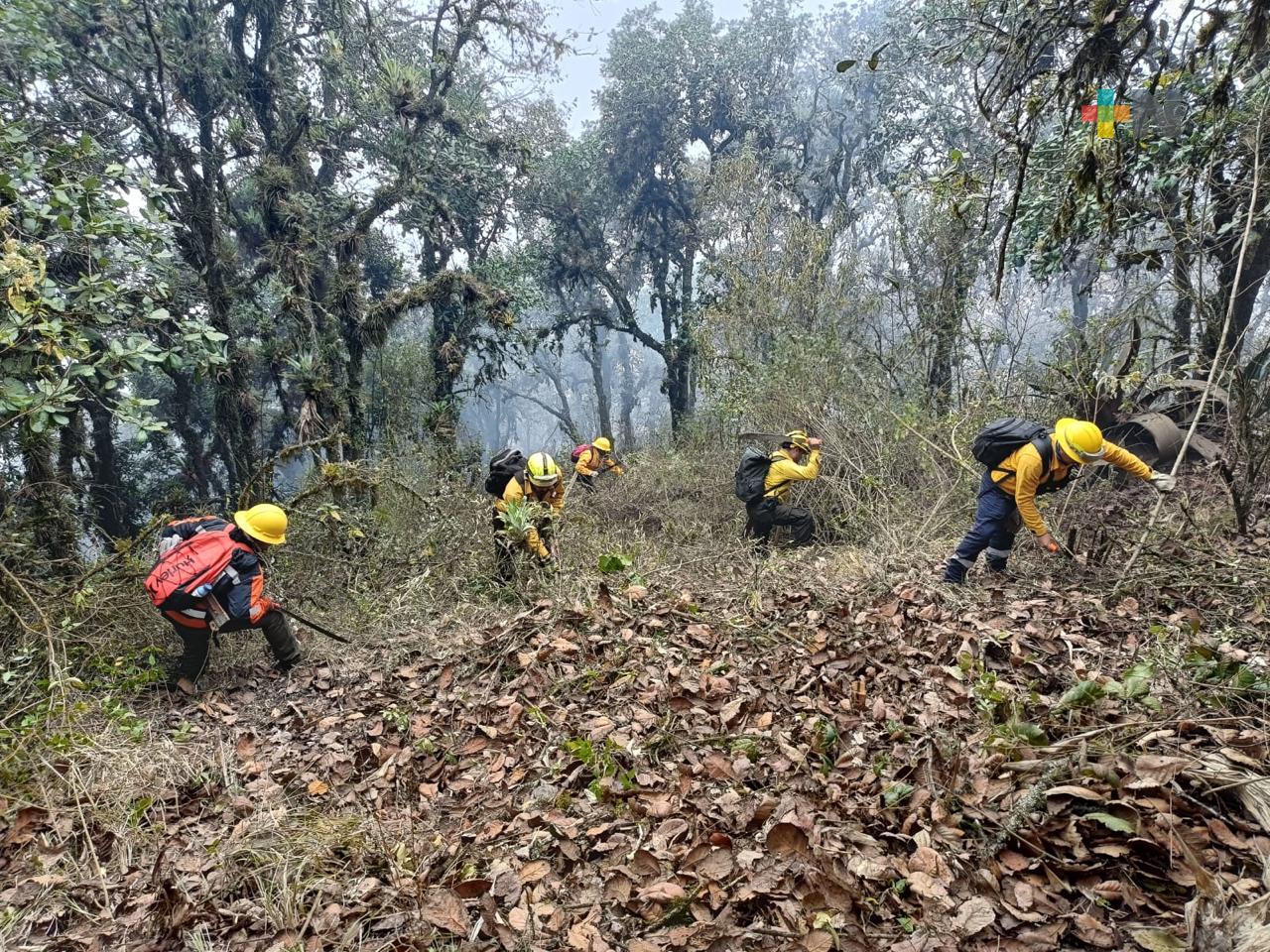 Reporta Conafor liquidación total de un incendio forestal; quedan cuatro activos