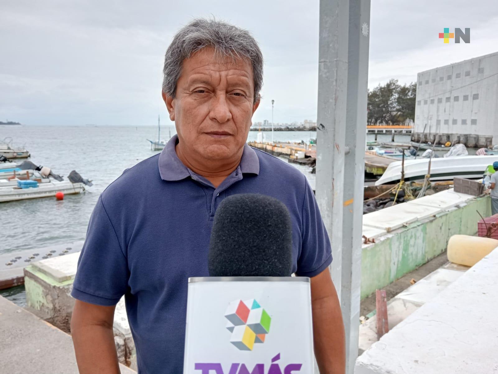 Pescadores de Veracruz puerto han visto mejorada la captura