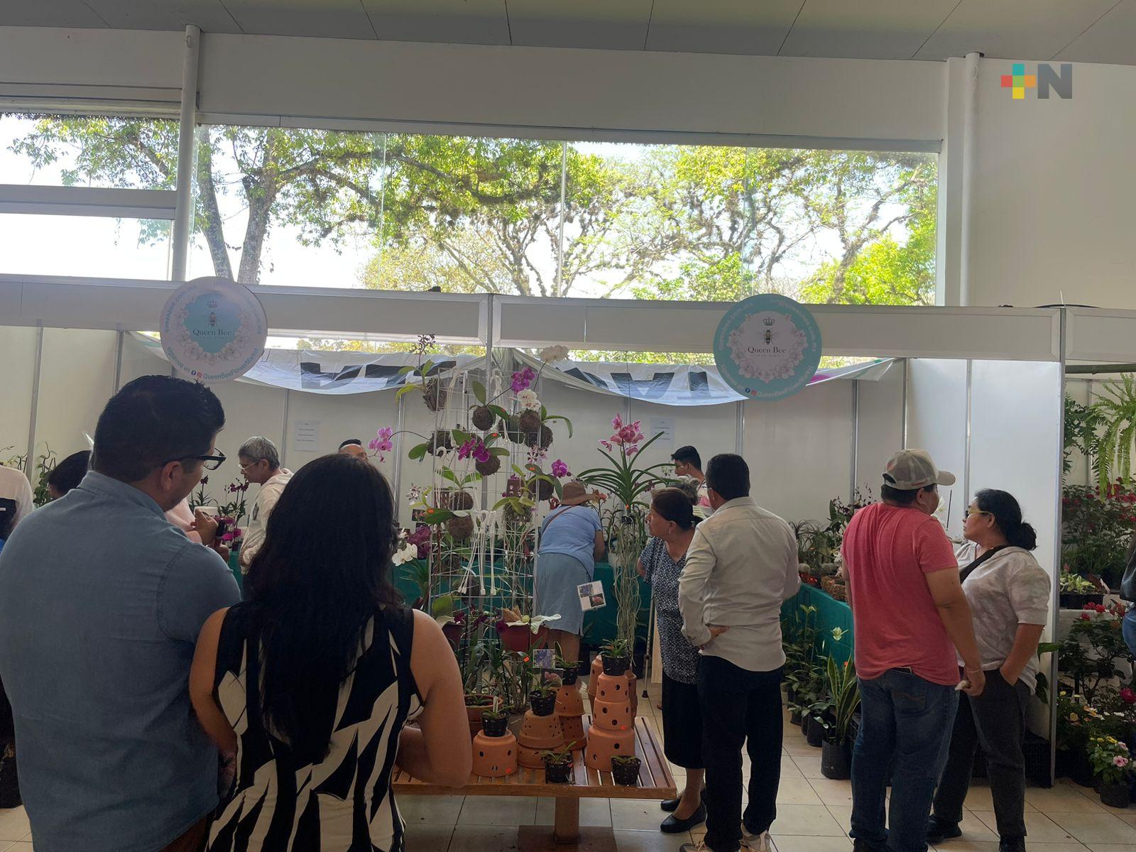 Buenas ventas y gran participación ciudadana en Festival Internacional de la Orquídea