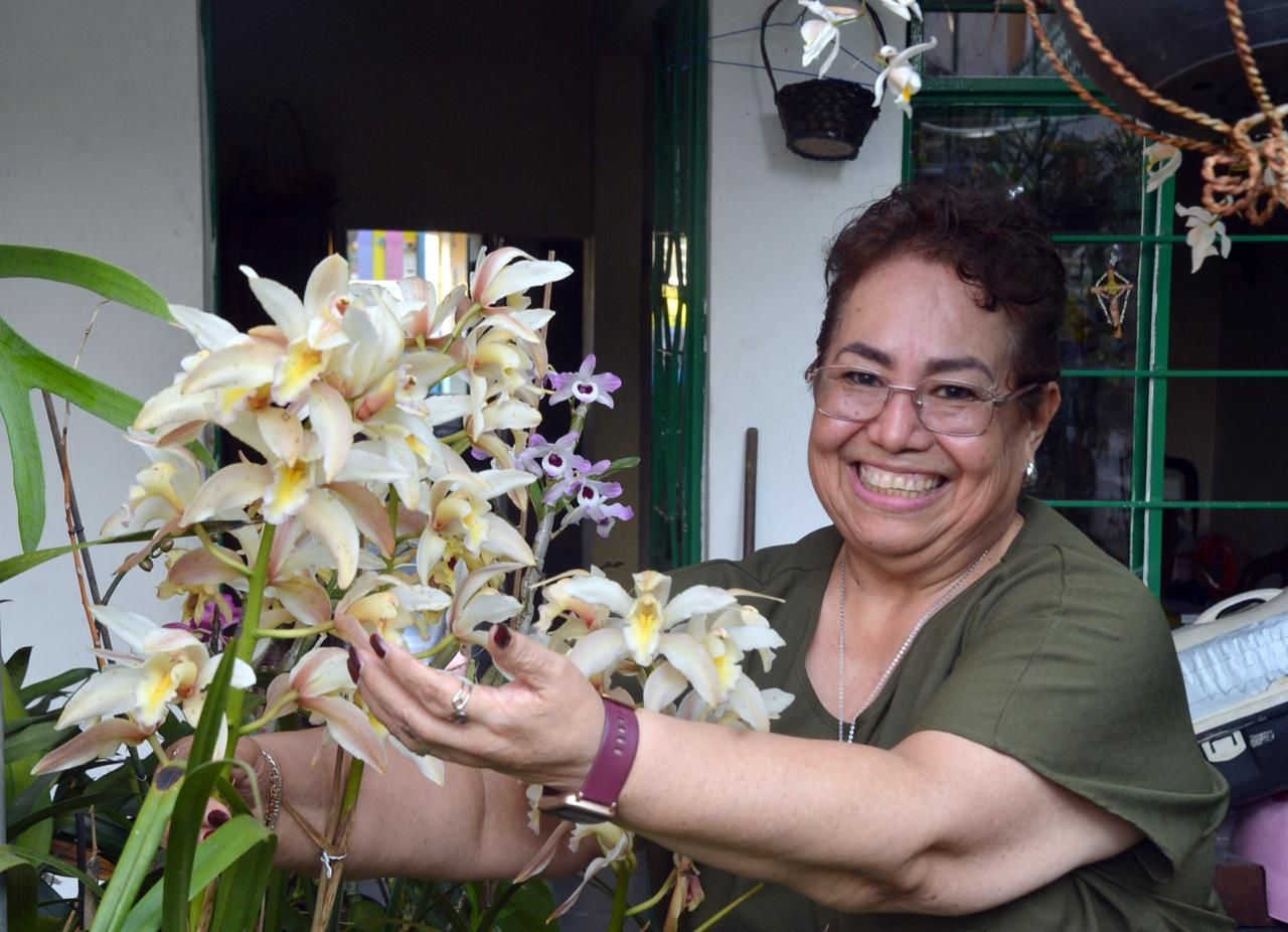 Todo listo para la gran inauguración del Festival Internacional de la Orquídea en Coatepec!