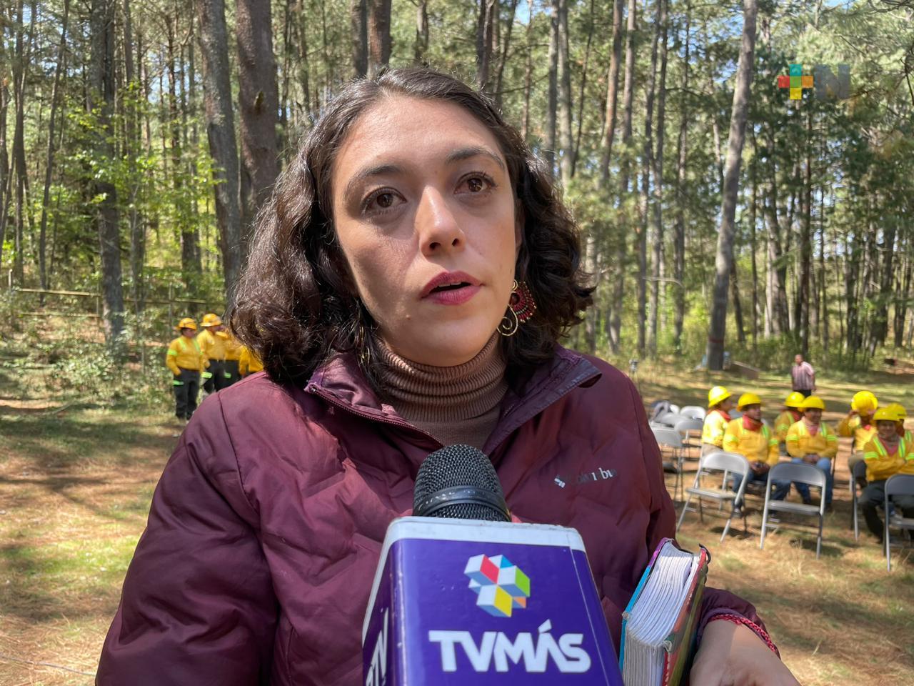 Este jueves aumentará temperatura por surada en territorio veracruzano