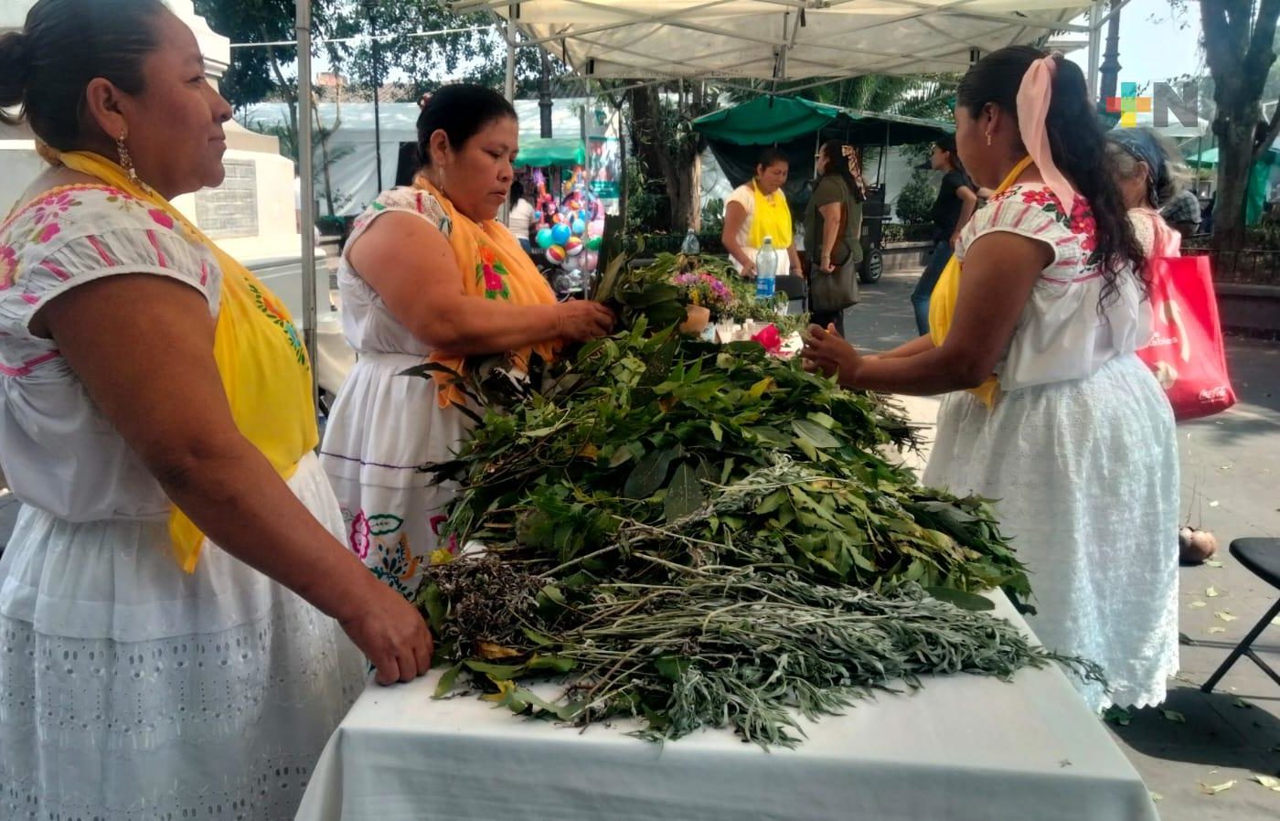 22 de octubre de cada año se celebrará el Día Estatal de la Medicina Tradicional