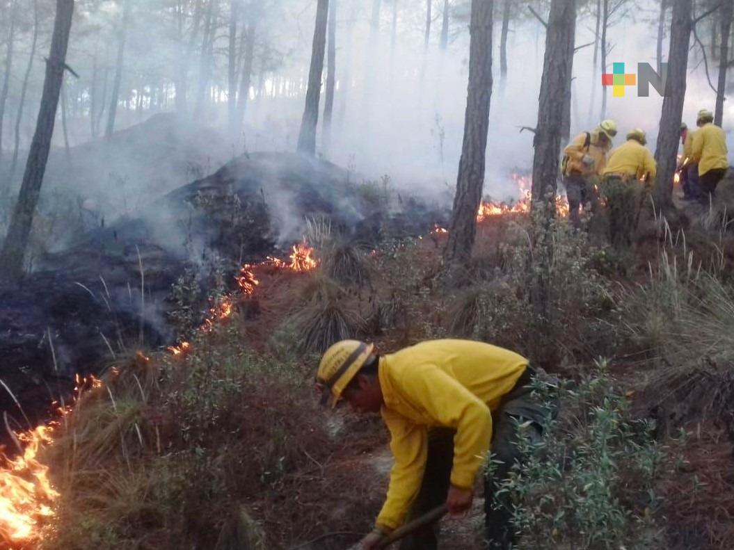 Incendios forestales suelen ocasionarse por quemas no controladas