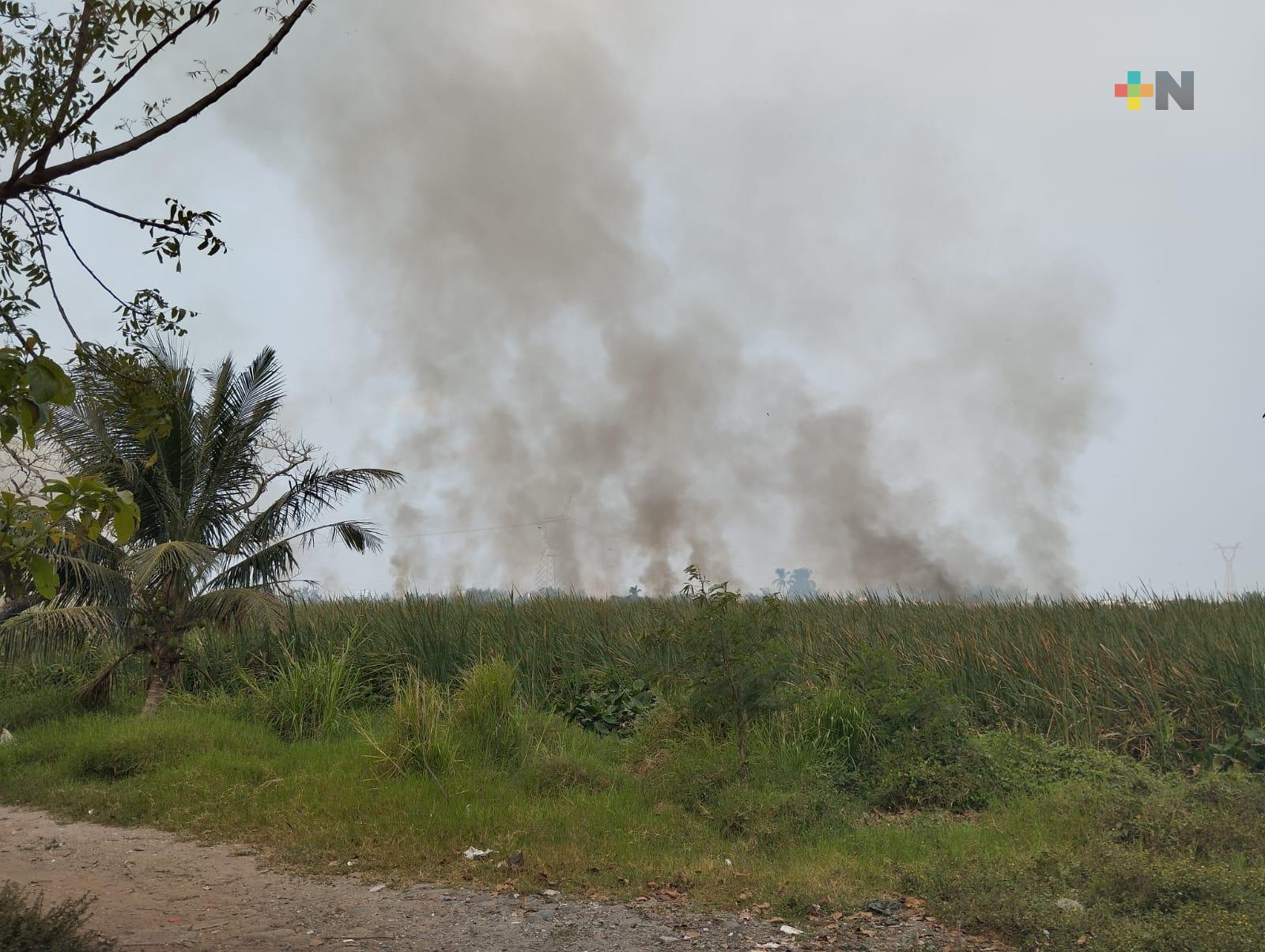 Incendio de pastizal cerca de zona urbana de Veracruz preocupa a vecinos