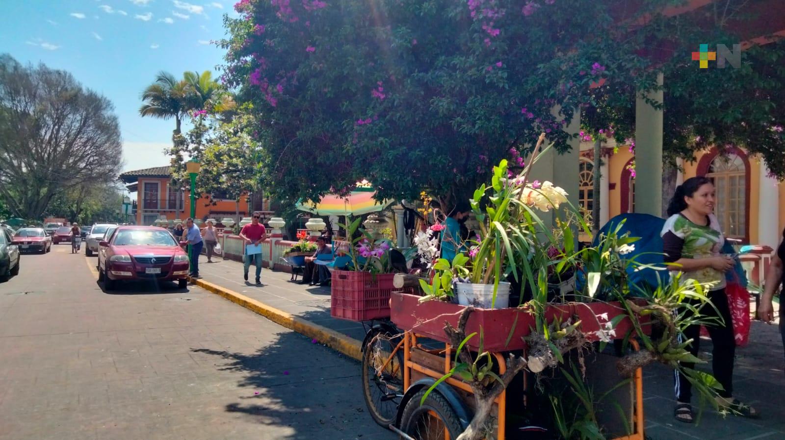 Orquídeas al borde de la extinción debido al comercio informal: INIFAP