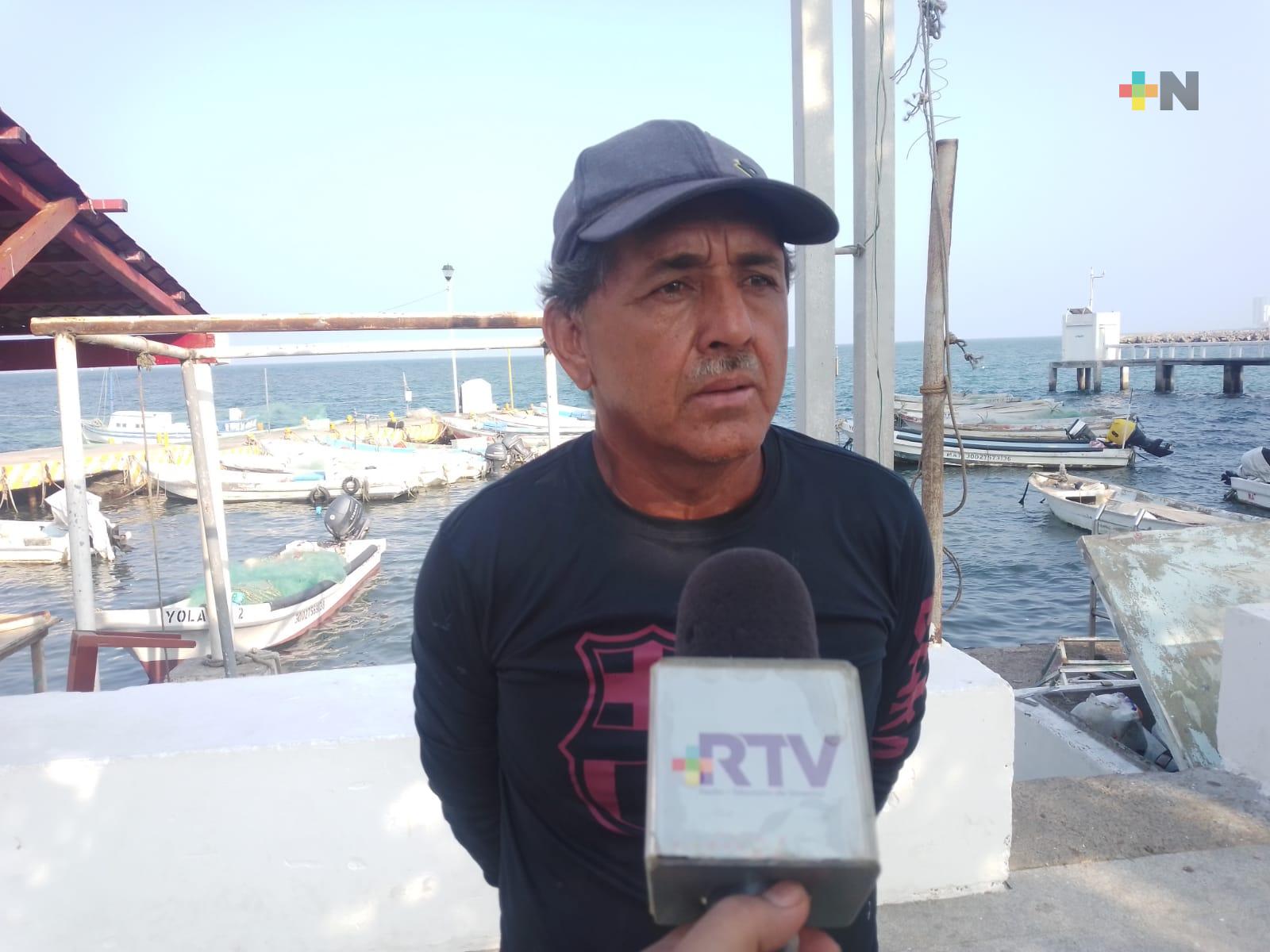 Fin de la veda de pulpo beneficiará al sector pesquero de Veracruz