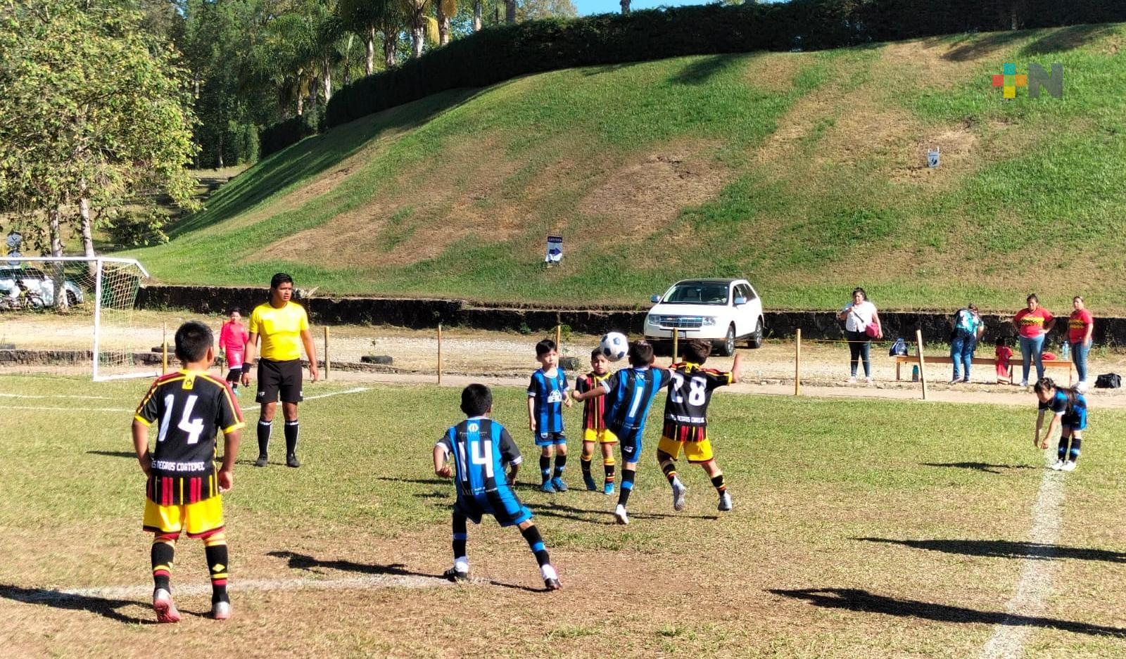 Pumas Filial sobresale en primer campeonato de la Liga Formativa de Futbol