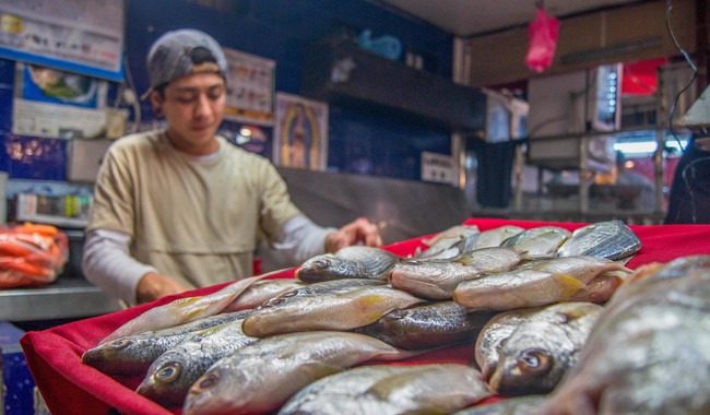 En Cuaresma, disponibles más de 100 especies de pescados y mariscos