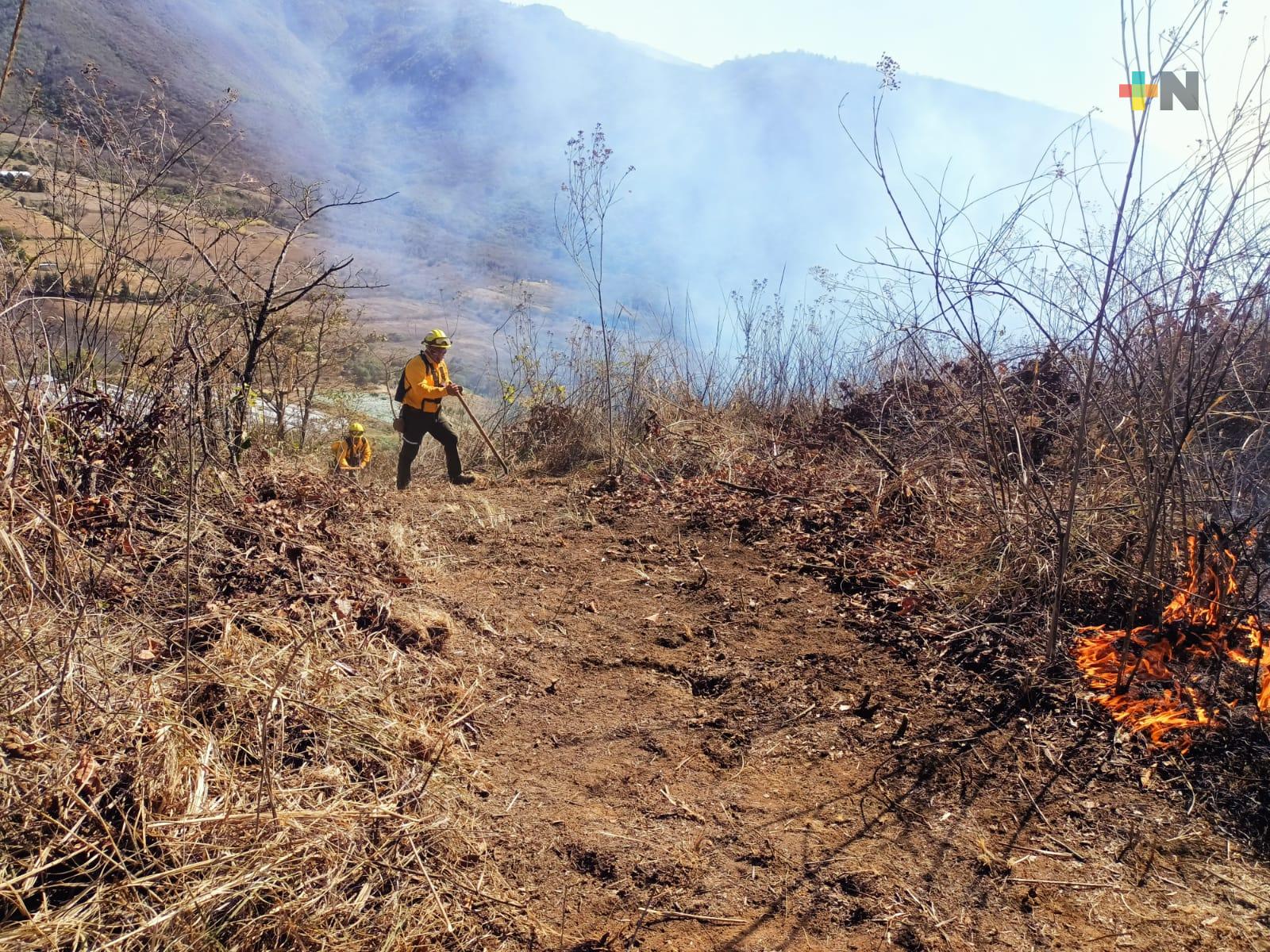 Se coordina la atención a cinco incendios forestales en el estado